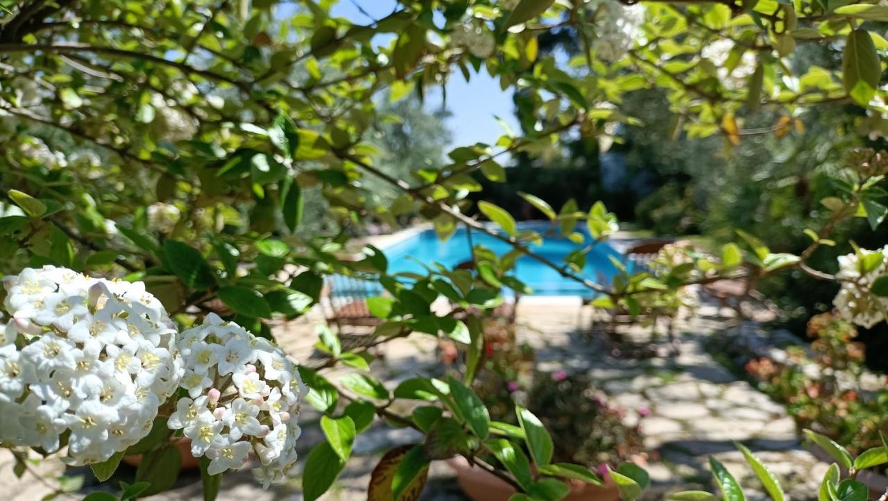 Agriturismo Le Vedute Bisceglie Zewnętrze zdjęcie